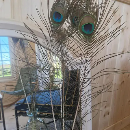 Casa Pertica Daire *