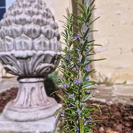 Casa Pertica * Ceton