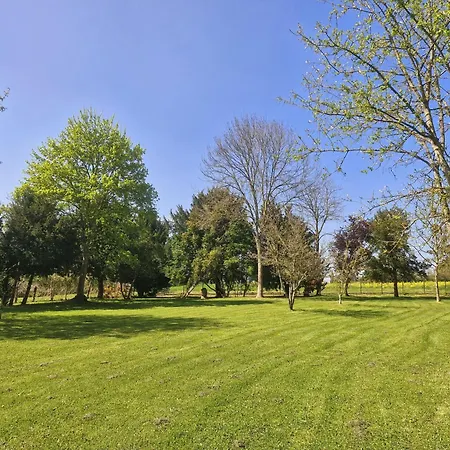 Casa Pertica Daire *