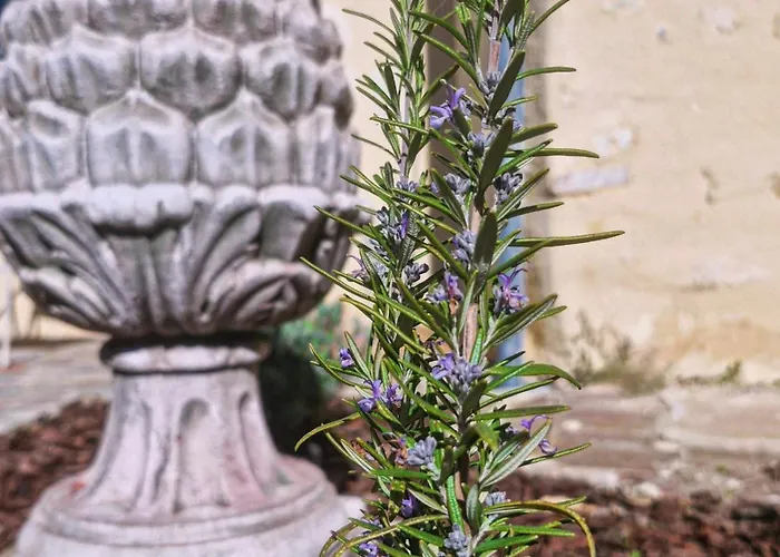 Casa Pertica * Ceton